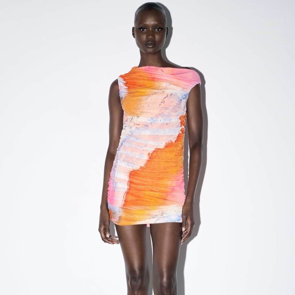 Zara Printed Tulle Dress